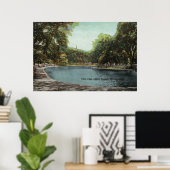 Poster Vue de l'étang de grenouille commune de Boston # 2 (Bureau à domicile)