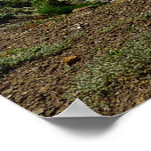 Poster Vue de l'île Père Noël Cruz dans les îles Channel (Coin)