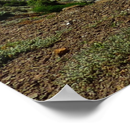 Poster Vue de l'île Père Noël Cruz dans les îles Channel (Coin)