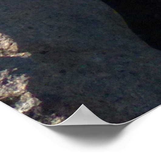 Poster Vue de Mitchell Peak au parc national Sequoia (Coin)