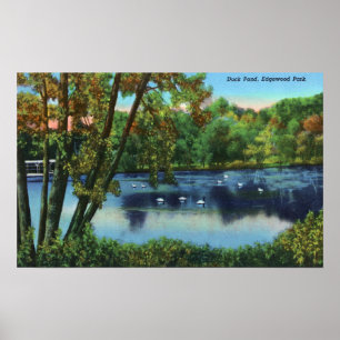 Poster Vue de parc d'Edgewood de l'étang de canard