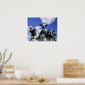 Poster Vue de quatre jeunes veaux (Cuisine)