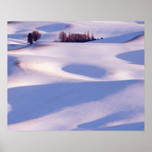 Poster Vue de Steptoe Butte de collines ondoyantes couver