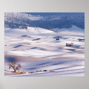 Poster Vue de Steptoe Butte de collines ondoyantes recouv