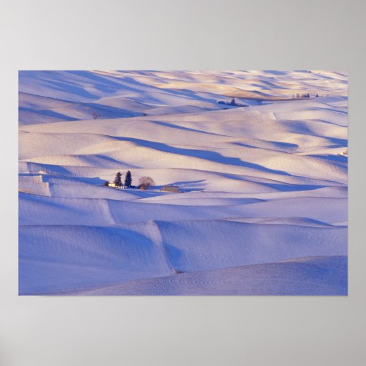 Poster Vue de Steptoe Butte des collines ondulantes (Devant)