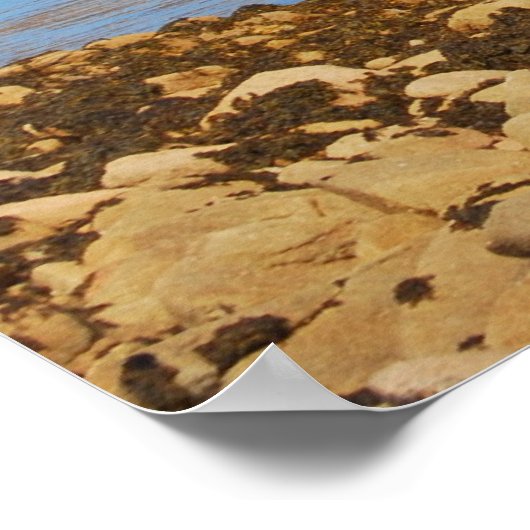 Poster Vue de "The Bar" (Coin)