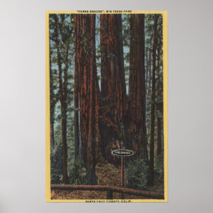 Poster Vue de "Trois Graces" sur Big Trees Park