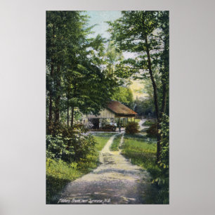 Poster Vue de vert de violoneurs