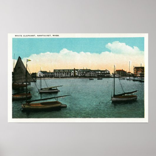 Poster Vue de White Elephant (Devant)