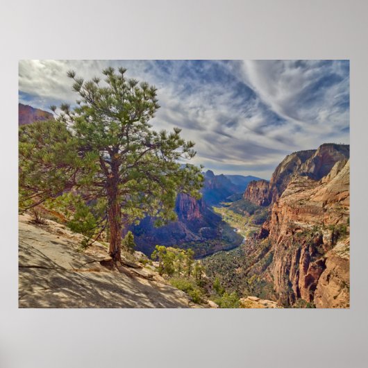 Poster Vue de Zion Canyon depuis Angels Landing (Devant)