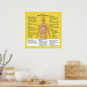 Poster Vue d'ensemble des infections bactériennes (Cuisine)