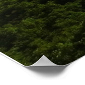 Poster Vue depuis le sentier des Appalaches, Grayson High (Coin)