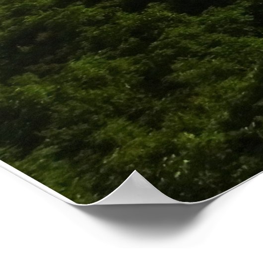 Poster Vue depuis le sentier des Appalaches, Grayson High (Coin)