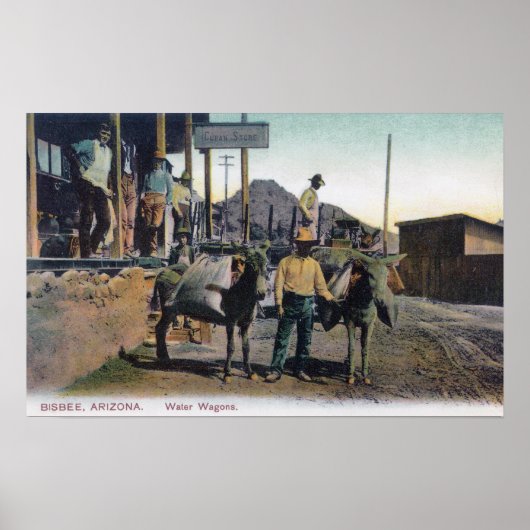 Poster Vue des ânes transportant de l'eauBisbee, AZ (Devant)