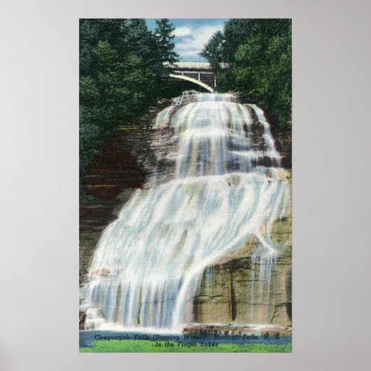 Poster Vue des chutes Chequagah (Devant)