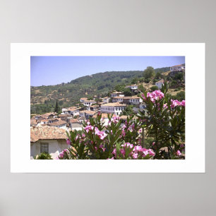 Poster Vue des fleurs