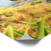 Poster Vue Des Ruines De Tulum, Temple Dieu Des Vents, Me (Coin)