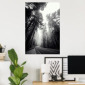 Poster Vue Des Séquoia Dans La Forêt (Bureau à domicile)