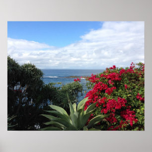 Poster Vue d'océan de Laguna Beach