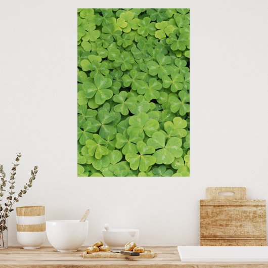 Poster Vue d'Oxalis Oregana bois Sorrel Foliage (Cuisine)