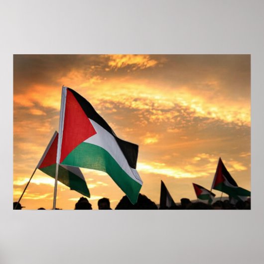 Poster Vue Drapeau Palestine (Devant)