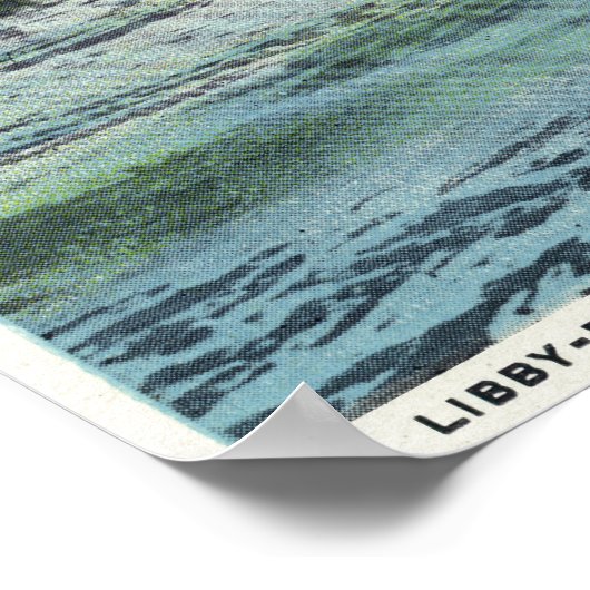 Poster Vue du barrage Libby-Dingleys (Coin)