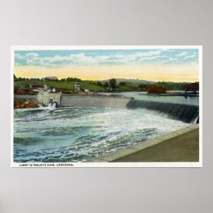 Poster Vue du barrage Libby-Dingleys