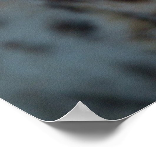 Poster Vue du Cheetah (Coin)