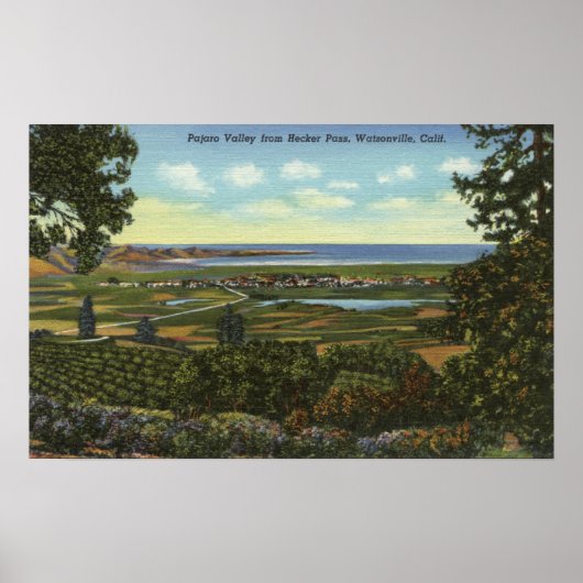 Poster Vue du col de Hecker sur la vallée de Pajaro (Devant)