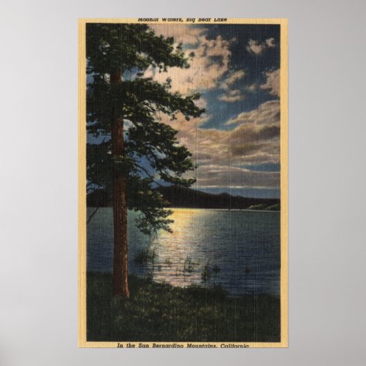 Poster Vue du lac au clair de lune (Devant)