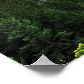 Poster Vue du matin (Coin)