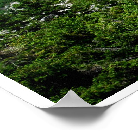 Poster Vue du Mont Monadnock (Coin)