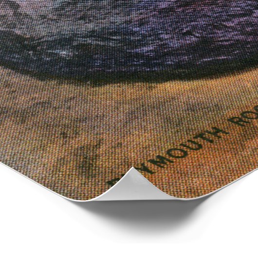 Poster Vue du Real Plymouth Rock (Coin)