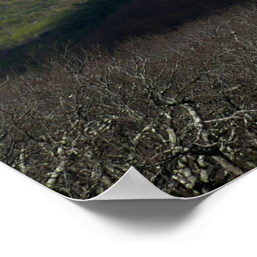 Poster Vue du rocher de Mary (Coin)