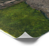 Poster Vue du Sanctuaire à Sanitarium à Gabriels (Coin)