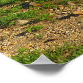 Poster Vue du sentier Skyline du mont Rainier (Coin)