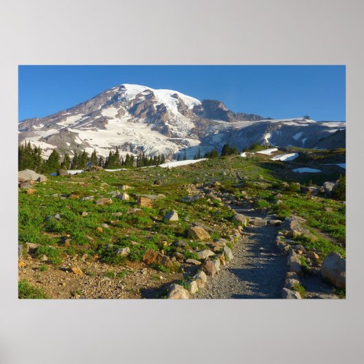 Poster Vue du sentier Skyline du mont Rainier (Devant)