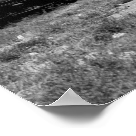 Poster Vue du train de la Virginia & Truckee (Coin)