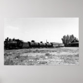 Poster Vue du train de la Virginia & Truckee (Devant)