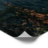 Poster Vue du tunnel de Yosemite (Coin)