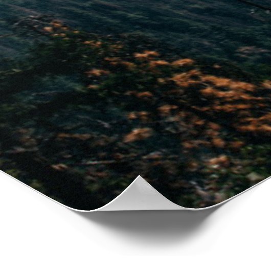 Poster Vue du tunnel de Yosemite (Coin)