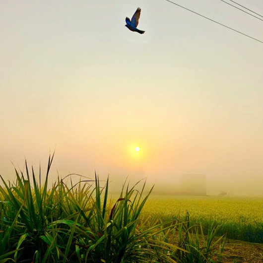 Poster vue du village matinal