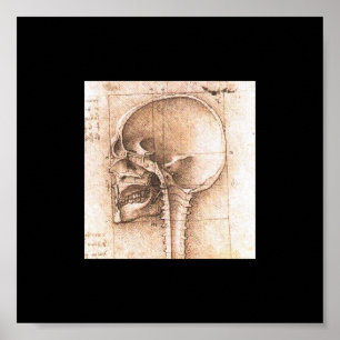 Poster Vue d'un crâne par Leonardo da Vinci C. 1489