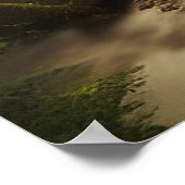Poster Vue d'un flux de forêt (Coin)