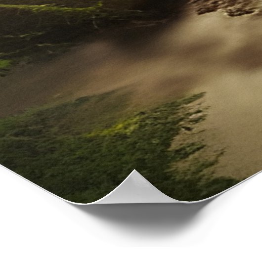 Poster Vue d'un flux de forêt (Coin)