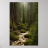 Poster Vue d'un flux de forêt (Devant)
