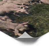 Poster Vue d'un limbe de zeppelin sur le mouton (Coin)