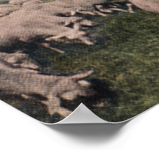 Poster Vue d'un limbe de zeppelin sur le mouton (Coin)