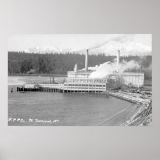 Poster Vue d'un Plante papier