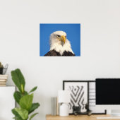 Poster Vue d'un pygargue à tête blanche (Bureau à domicile)